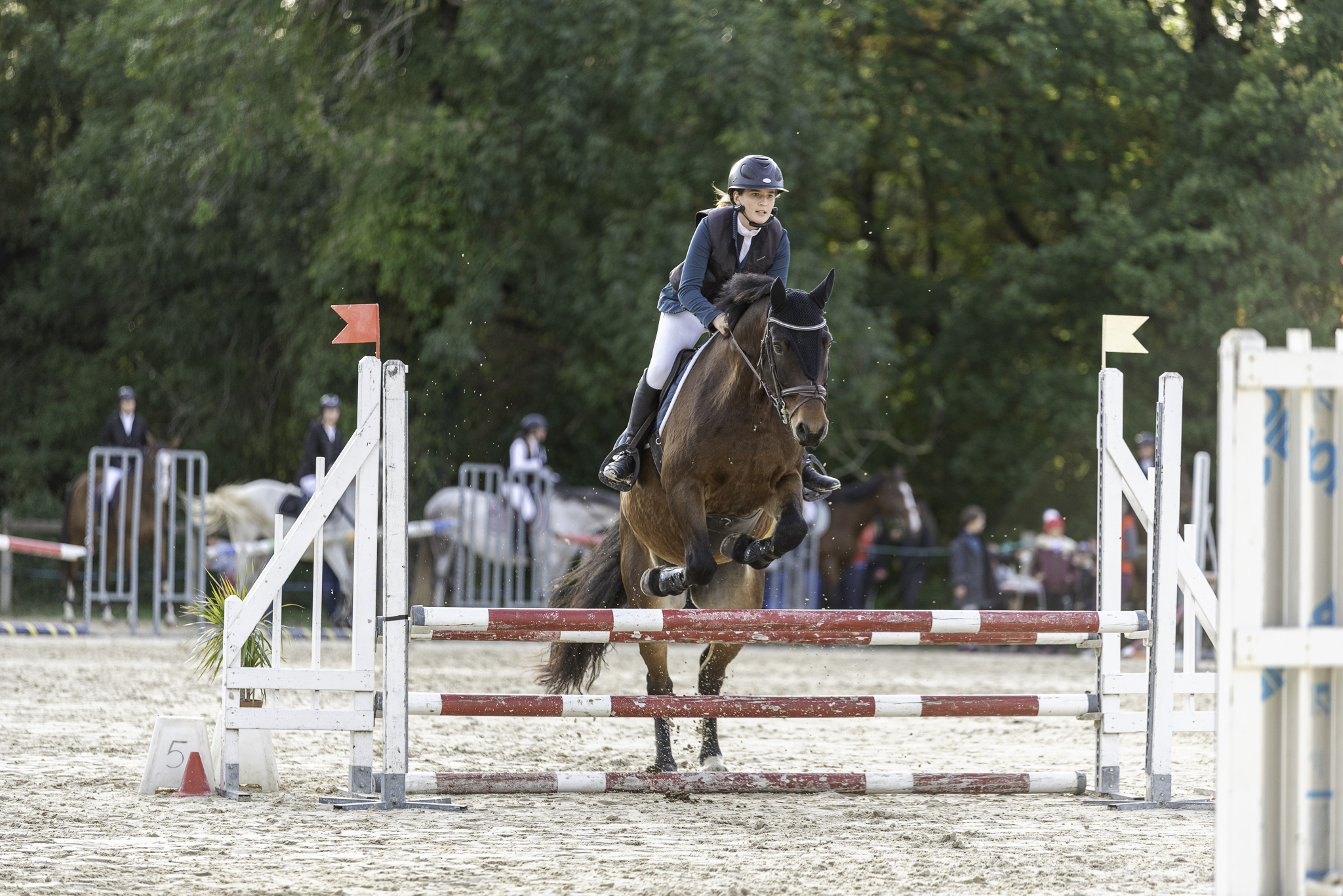 DSC_2730-WEB