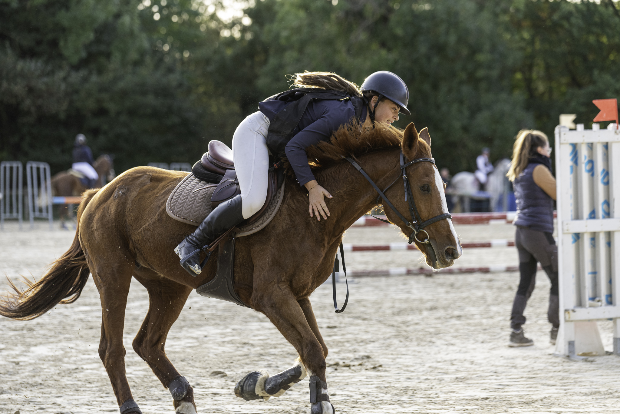 DSC_2784-WEB