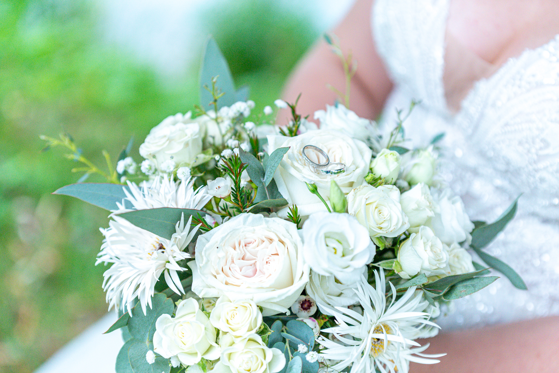 Cl&eacute;lia Giannini Photographe